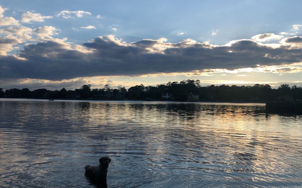 Cavalier Park and Bay Colony Board of Directors